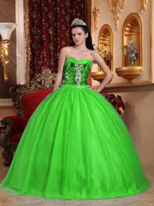 Sweetheart Spring Green Organza Quinceanera Gown Dress with Appliques and Sequin