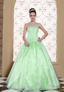 Elegant Strapless Quinceanera Dresses with Embroidery in Apple Green