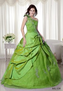 Simple One Shoulder Appliqued Quinceanera Dress in Taffeta and Organza