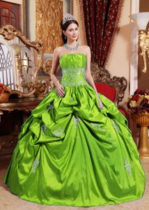 Spring Green Strapless Ball Gown Taffeta Appliqued Quinceanera Dress with Pick-ups