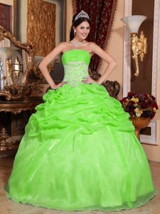 Spring Green Ruched Appliqued Strapless Organza Quinceanera Dress with Pick-ups