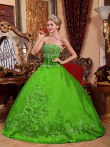Great Strapless Spring Green Ball Gown Taffeta Quinceanera Dress with Embroidery