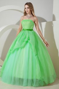 Apple Green Strapless Ball Gown Organza Quinceanera Dress with Belt on Promotion