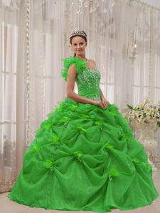 Newest Green One Shoulder Organza Quinceanera formal Dress with Appliques