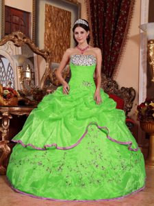 2013 Spring Green Strapless Dress for Quince in Organza with Appliques