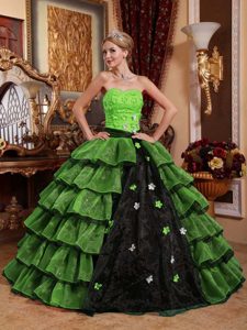 Multi-color Strapless Organza Quinceanera Dress with Appliques on Sale