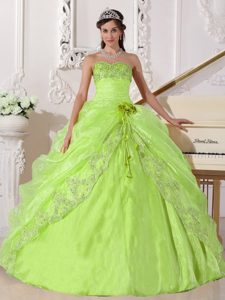 Embroidery Strapless Yellow Green Quinceanera Dress in Organza and Taffeta