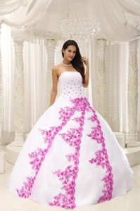 Beautiful Embroidery Quinceanera formal Dresses in Taffeta and Organza