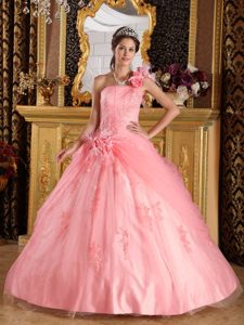 Lovely One Shoulder Tulle Sweet Sixteen Quinceanera Dress with Appliques