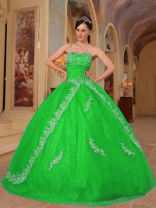 Spring Green Sweetheart Organza Beaded Quinceanera Dress with Appliques