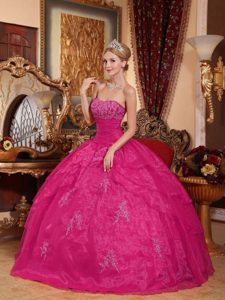 Long Hot Pink Organza Best Seller Sweet 16 Dresses for Winter under 250