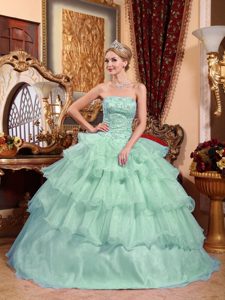 Gorgeous Ruffled Organza Beaded Long Quinceanera Gown in Apple Green