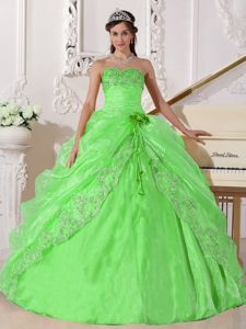 Popular Embroidered Beaded Organza Long Quince Dress in Spring Green