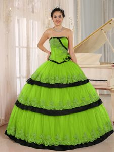 Discount Spring Green and Black Lace Spring Green Quince Dress for Fall