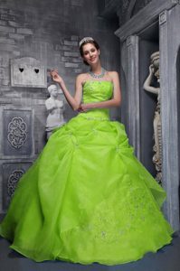 Elegant Strapless Taffeta and Organza Quinceanera Dresses in Spring Green