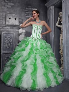 Luxurious Taffeta and Organza Long Quinceanera Dress in Green and White