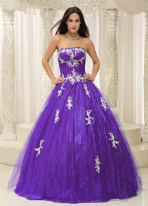 Wonderful Tulle Appliqued Quinceanera Gown Dresses with Appliques