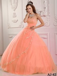 Classical Tulle Pink Quinceanera Gown Dresses for 2013 with Appliques
