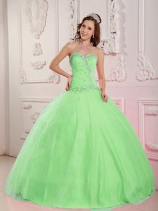 Lovely Tulle Apple Green Quinceanera Gown Dress 2013 with Appliques
