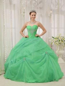 Apple Green Beading Sweetheart Organza Appliques Quinceanera Gowns