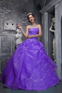 Gorgeous Purple Taffeta Strapless Appliques Pick-ups Dress for 15