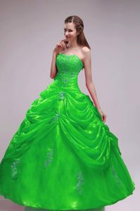 Strapless Floor-length Organza Pick-ups Dresses for a Quinceanera