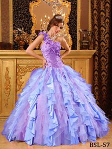 Affordable Muti-Color Ruffled Quince Dresses with One Shoulder
