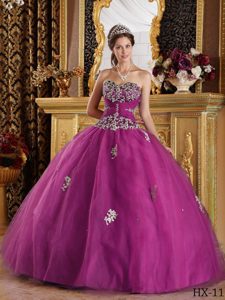 Fuchsia Ball Gown Discount Dress for Quinceanera with Appliques