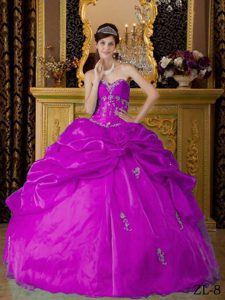 Fuchsia Sweet Sixteen Quinceanera Dresses in Organza on Sale