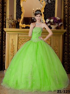 Nice Spring Green Ball Gown Quinceanera Dresses with Beading