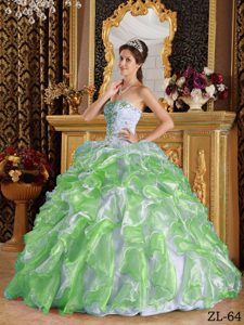 Discount Ball Gown Style Organza Dress for Quince with Appliques