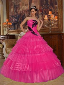 Hot Pink Ball Gown Lovely Appliqued Sweet 16 Dresses in Organza