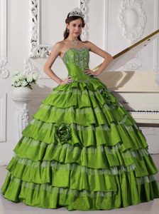 Spring Green Sweet Embroidery Decorate Sixteen Dresses in Taffeta