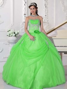 Cheap Taffeta and Organza Dress for Quinceanera in Spring Green