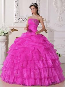 Strapless Organza Appliqued Perfect Sweet Sixteen Dresses in Pink