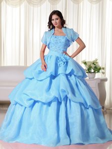 Discount Ball Gown Flowers Decorate Dress for Quince in Baby Blue