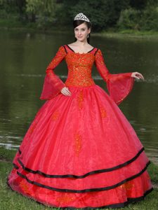 Long Sleeves Appliques Decorate Quinceanera Gown in Red on Sale