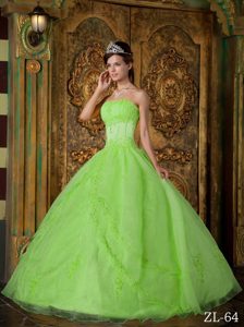 Elegant Spring Green Strapless Appliqued Organza Quinceaneras Dresses