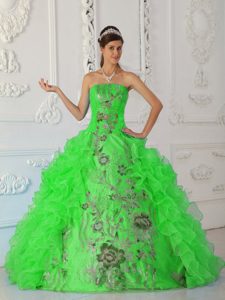 Exquisite Strapless Embroidery Green Sweet Sixteen Dresses On Promotion
