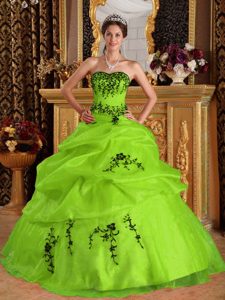 Classical Yellow Green Embroidery Quinceanera Gowns in Satin and Organza