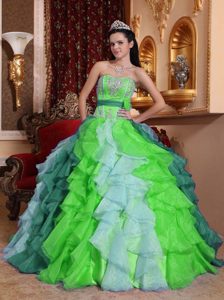 Multicolor Sweetheart Organza Beaded and Appliqued Quinceanera Dresses