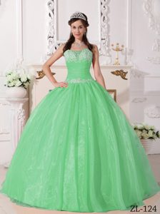 Apple Green Strapless Taffeta and Organza Appliqued Quinceanera Dresses