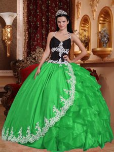 Spring Green Taffeta and Organza Quinceanera Dress Appliques and Beading