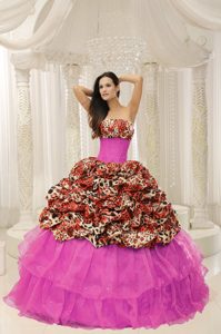 Organza Leopard Quinceanera Dress with Beading Decorated on Promotion