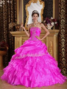 Customize Hot Pink Strapless Embroidery Quinceaneras Dress in Organza