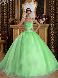 Latest Spring Green Sweetheart Organza Quinceaneras Dress with Beading