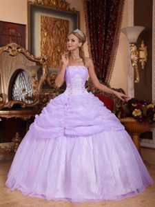 Appliqued and Ruched Dress for Quince in Lilac with Strapless in the Mainstream