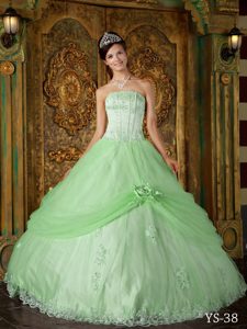 Apple Green Ball Gown Strapless Floor-length Appliques Quinceanera Dress
