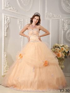 Beautiful Sweetheart Floor-length Organza Beading Appliques Quince Dresses