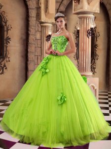 Spring Green Strapless Satin and Tulle Quinceanera Dresses with Beading